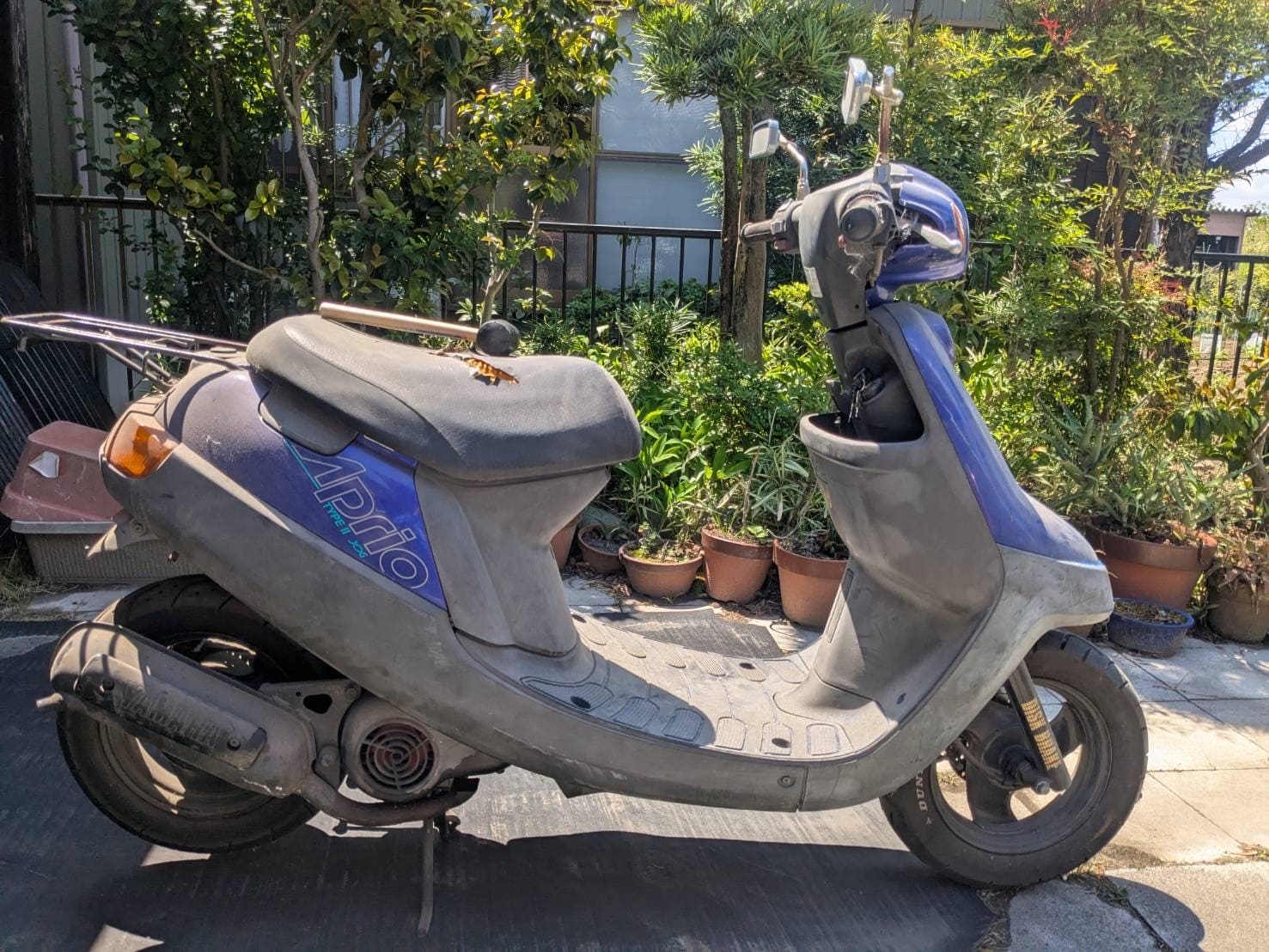 熊本での買取バイク-5