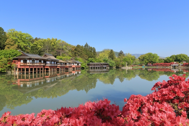 長岡天満宮 キリシマツツジ 錦水亭