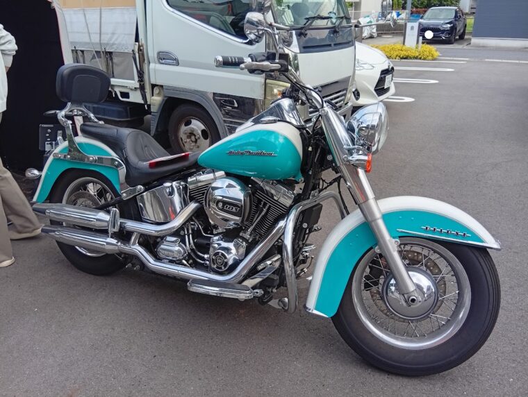 ハーレーダビッドソン　FLSTN